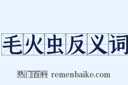 毛火虫反义词是什么意思的图片